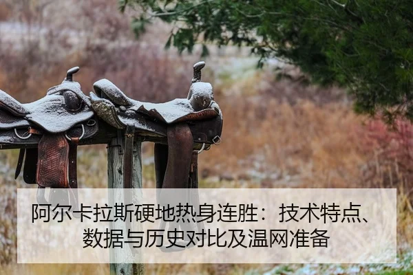 阿尔卡拉斯硬地热身连胜：技术特点、数据与历史对比及温网准备